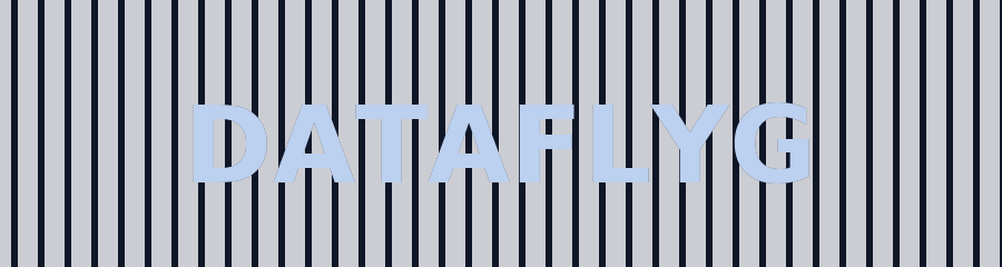 Dataflyg